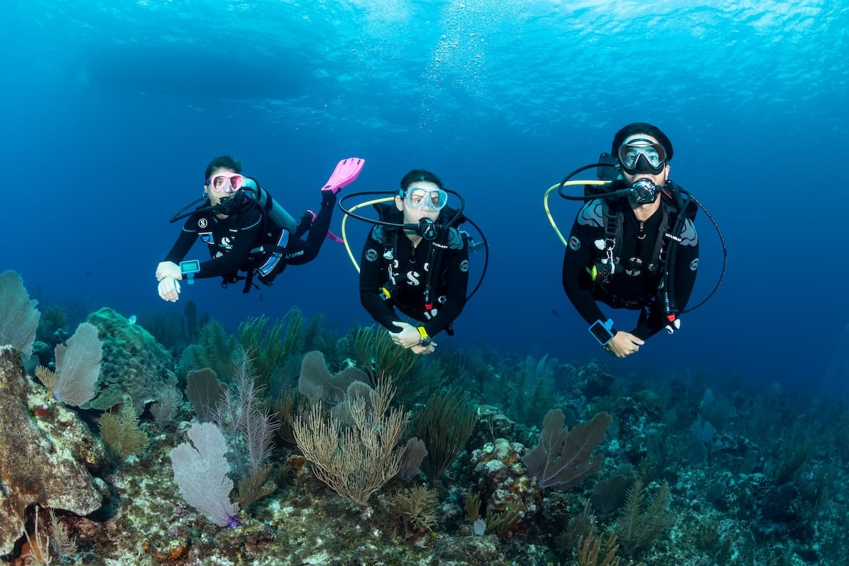 Scuba diving experience in Cabo San Lucas